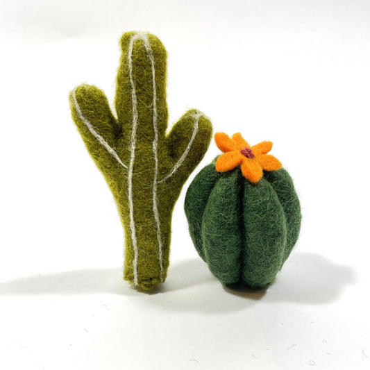 Succulents, Pack of 2 Toys, Assorted