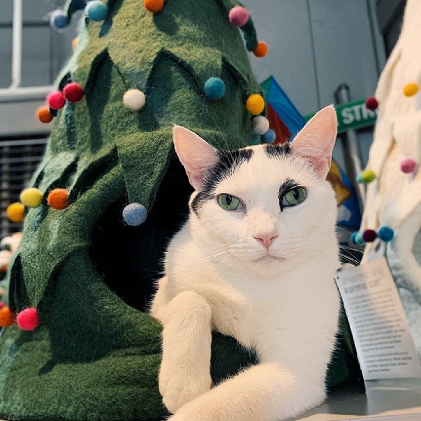 Xmas Tree Cave, Green