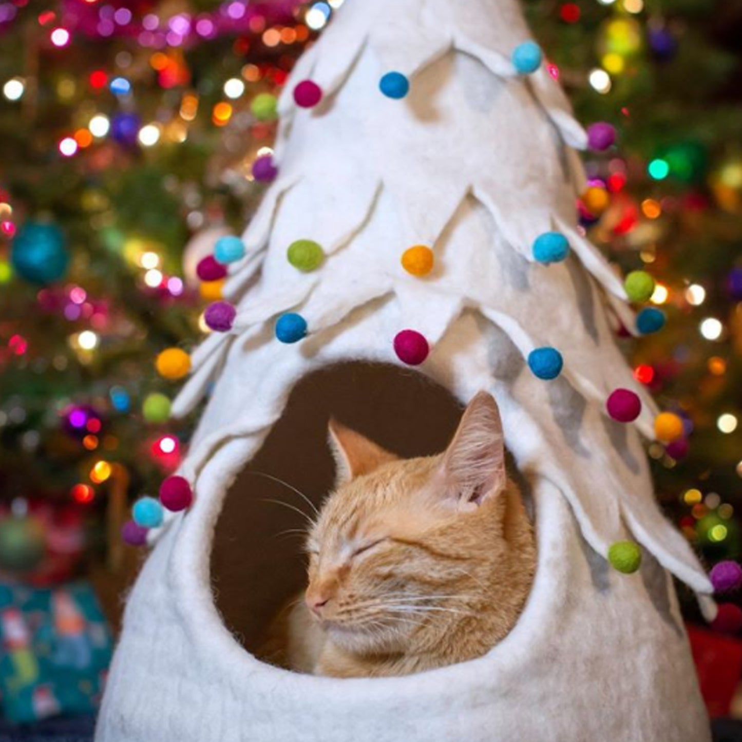 Xmas Tree Cave, White