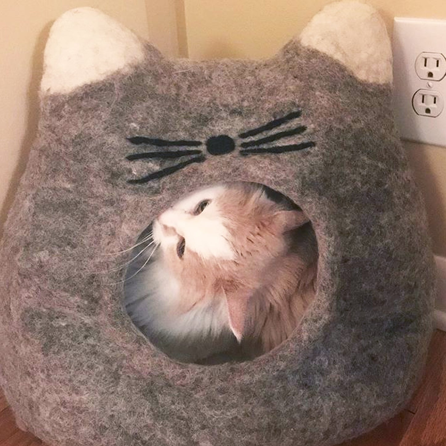 Natural Cat Face Cave