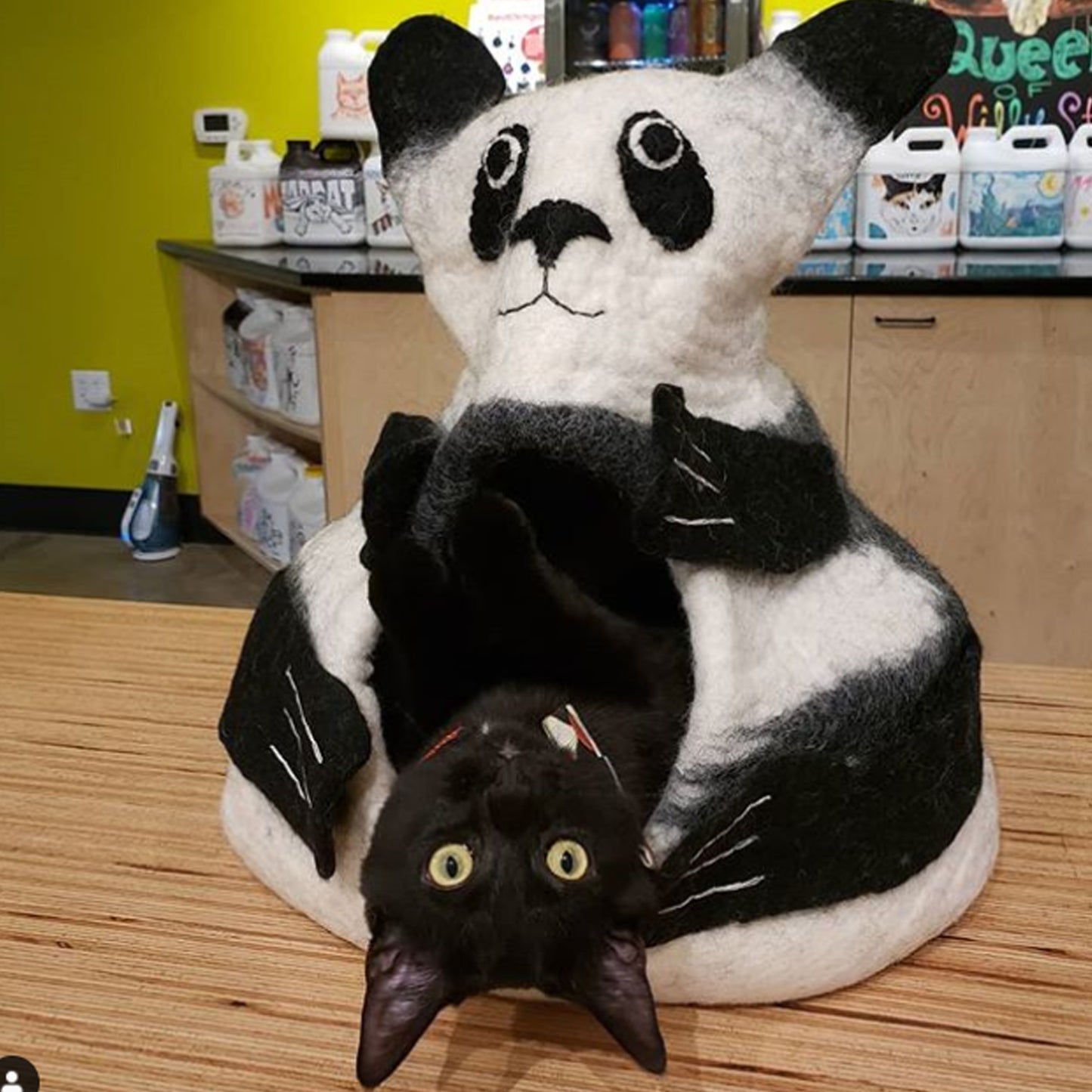 Panda Cave
