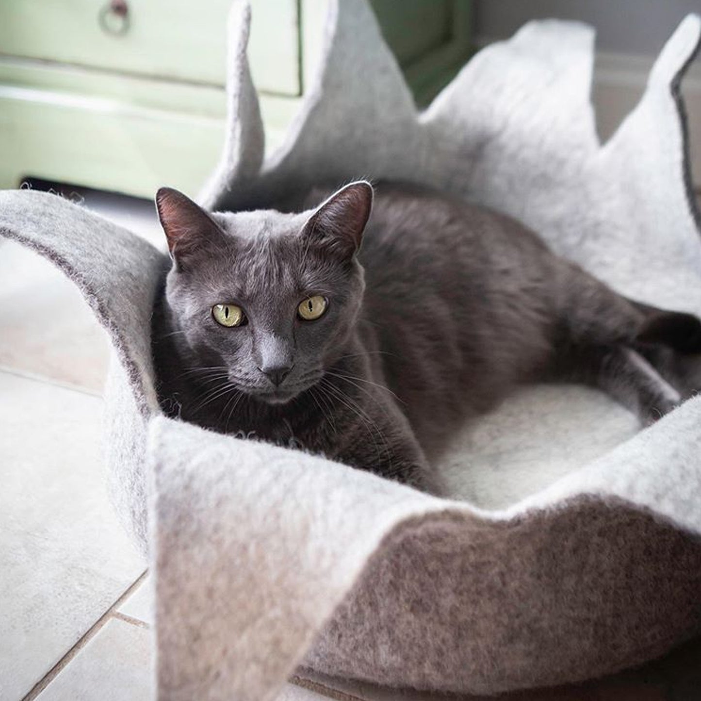 Natural Petal Basket