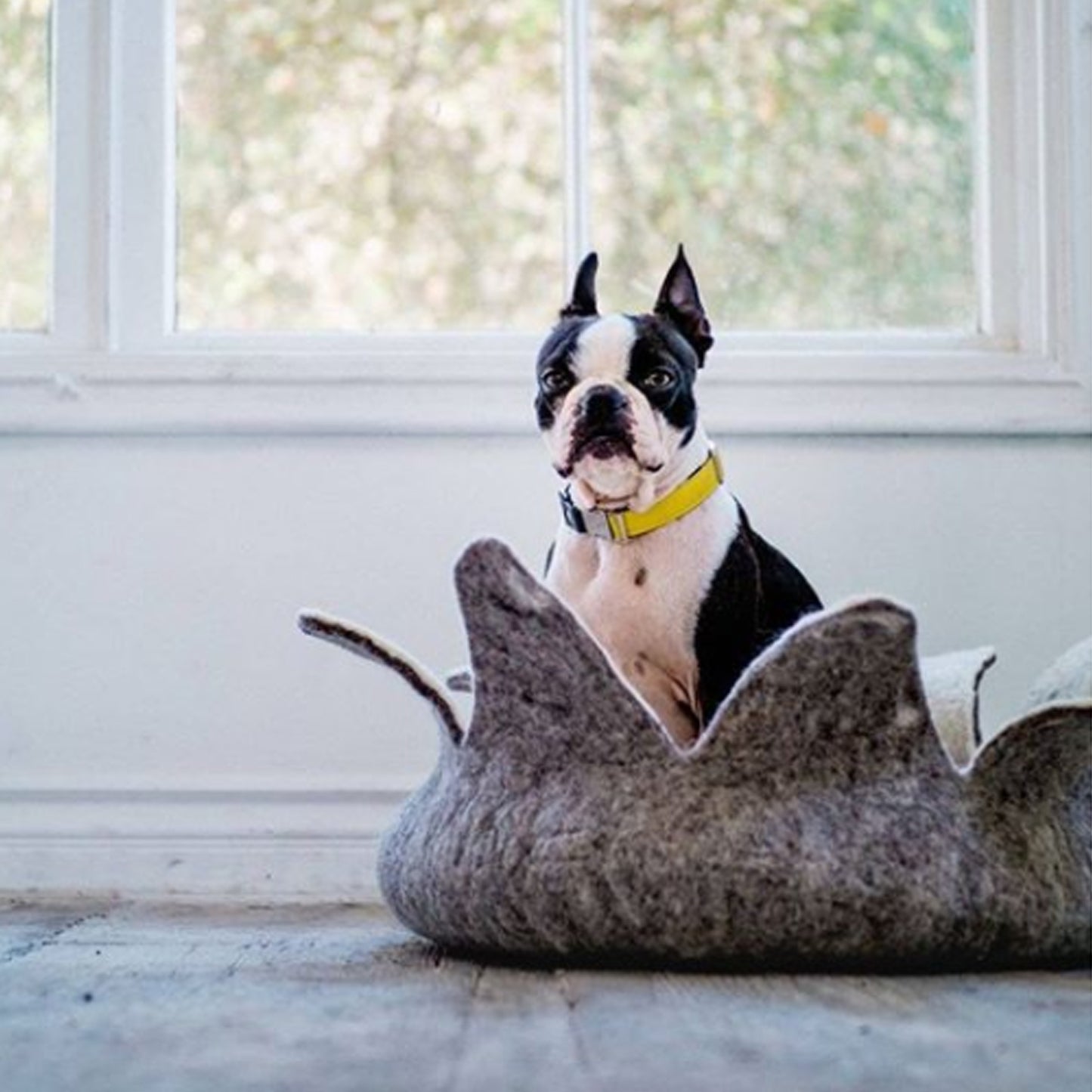 Natural Petal Basket