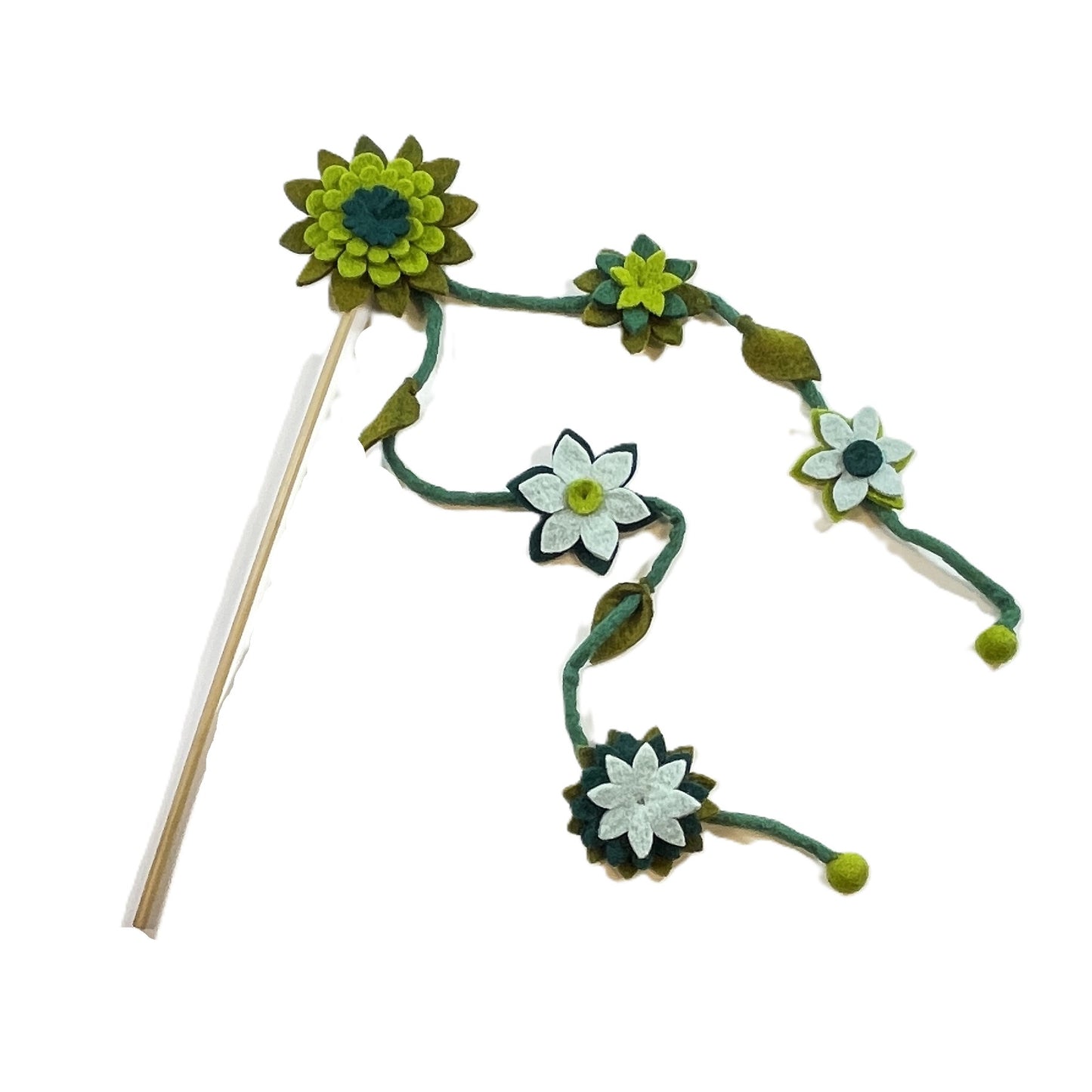 Teaser, Succulent Flower