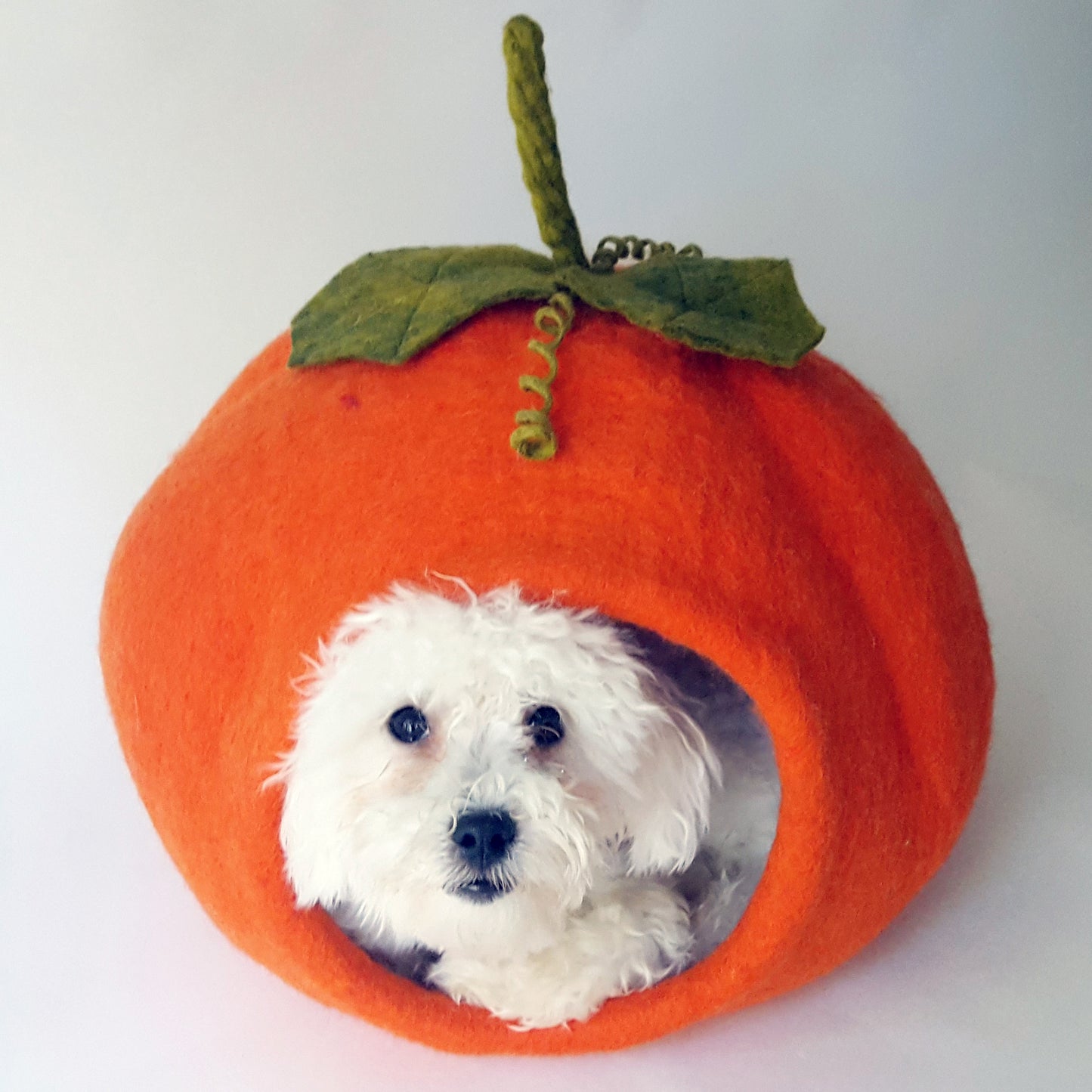 Pumpkin Cave