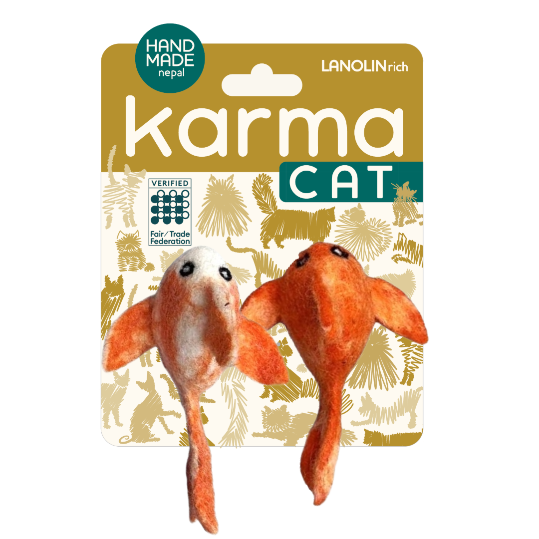 Koi Fish Chaser