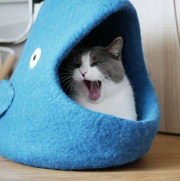 Blue Whale Cave