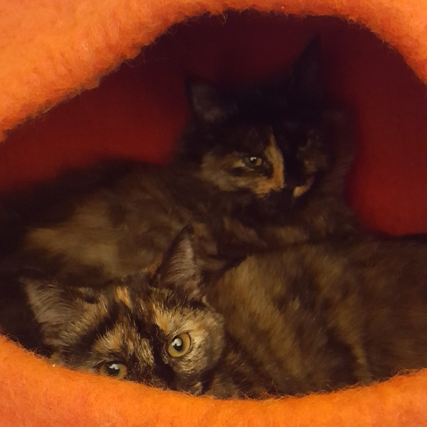 Pumpkin Cave
