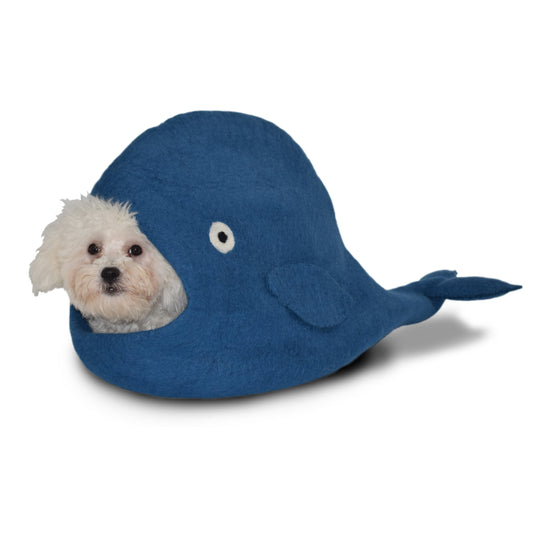 Blue Whale Cave