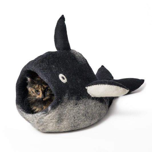 Orca Cave