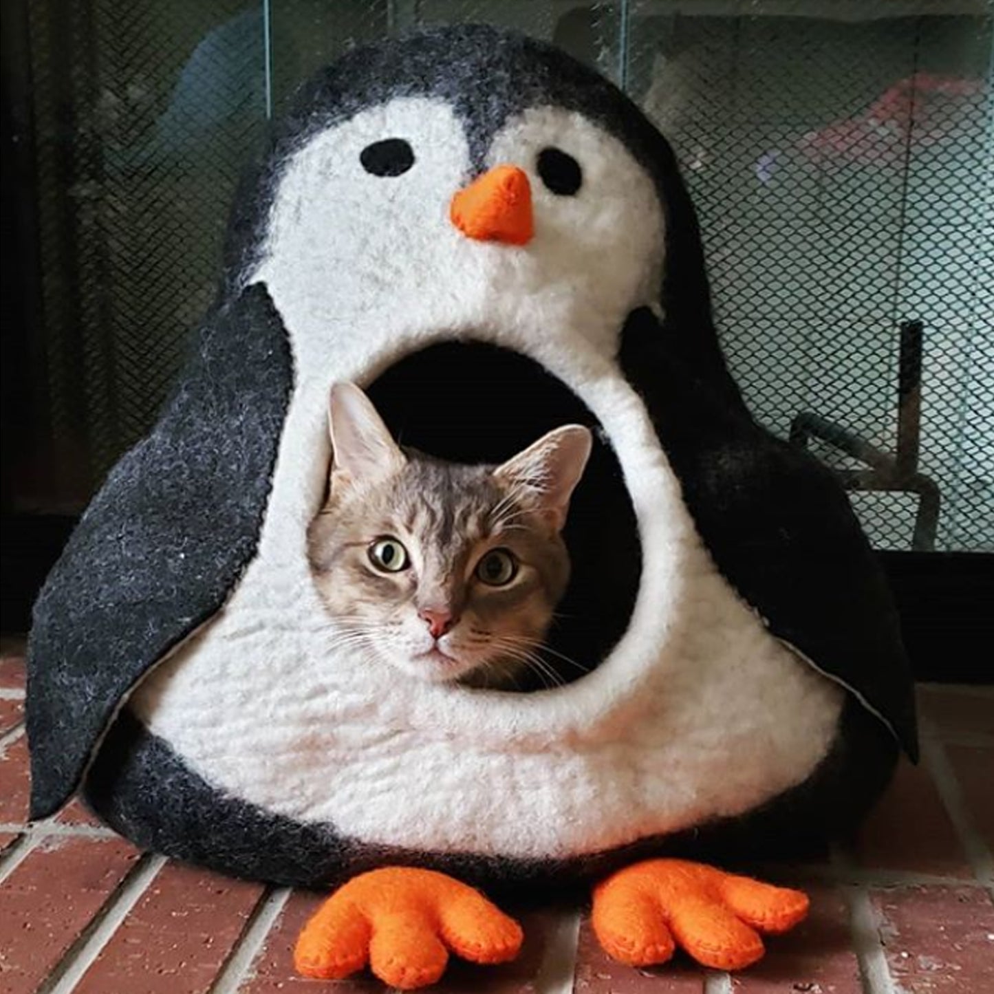 Penguin Cave