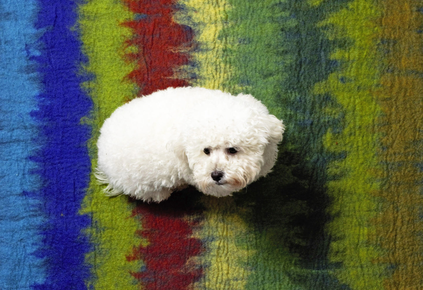 Wool Mat, Multi-Ombre, Bright