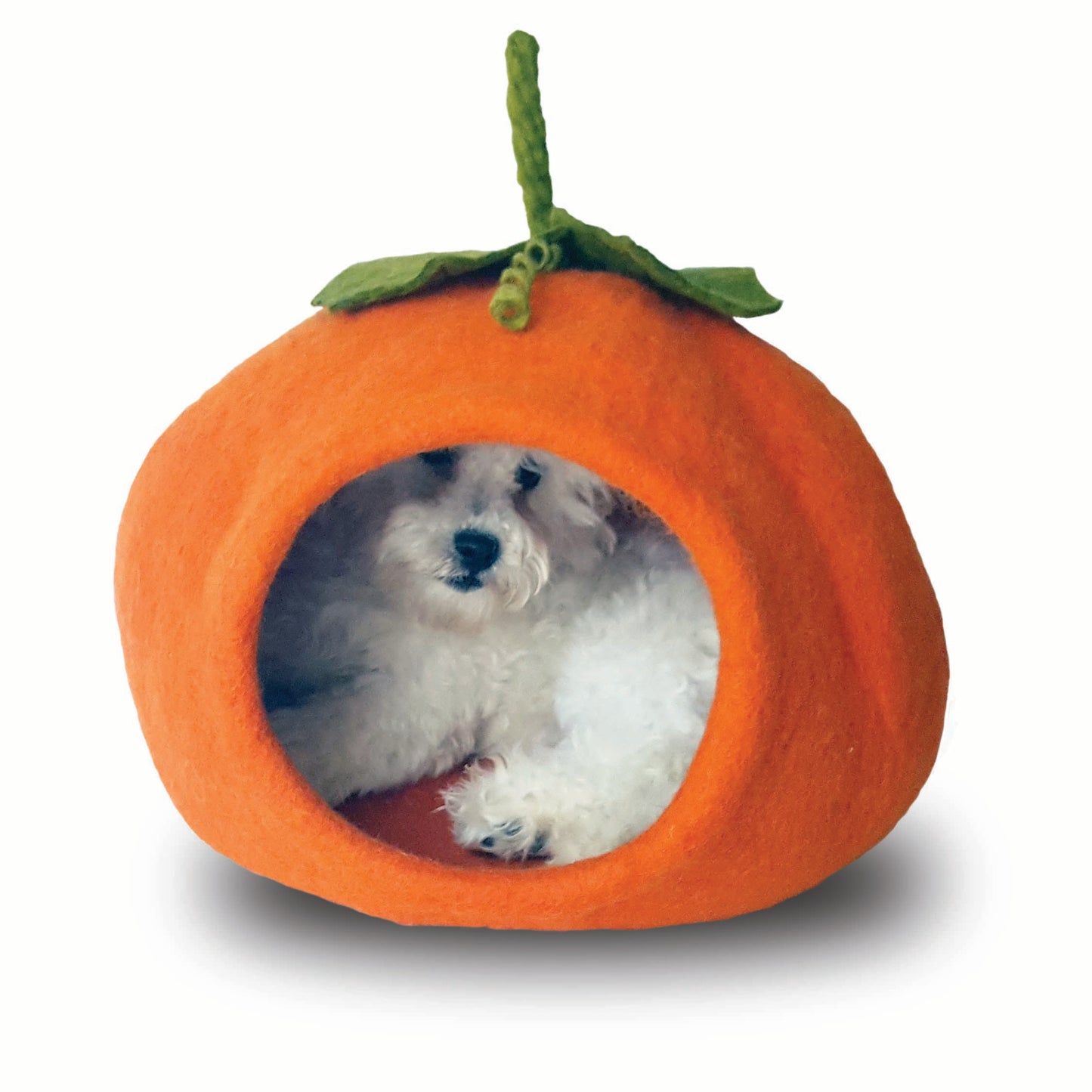 Pumpkin Cave