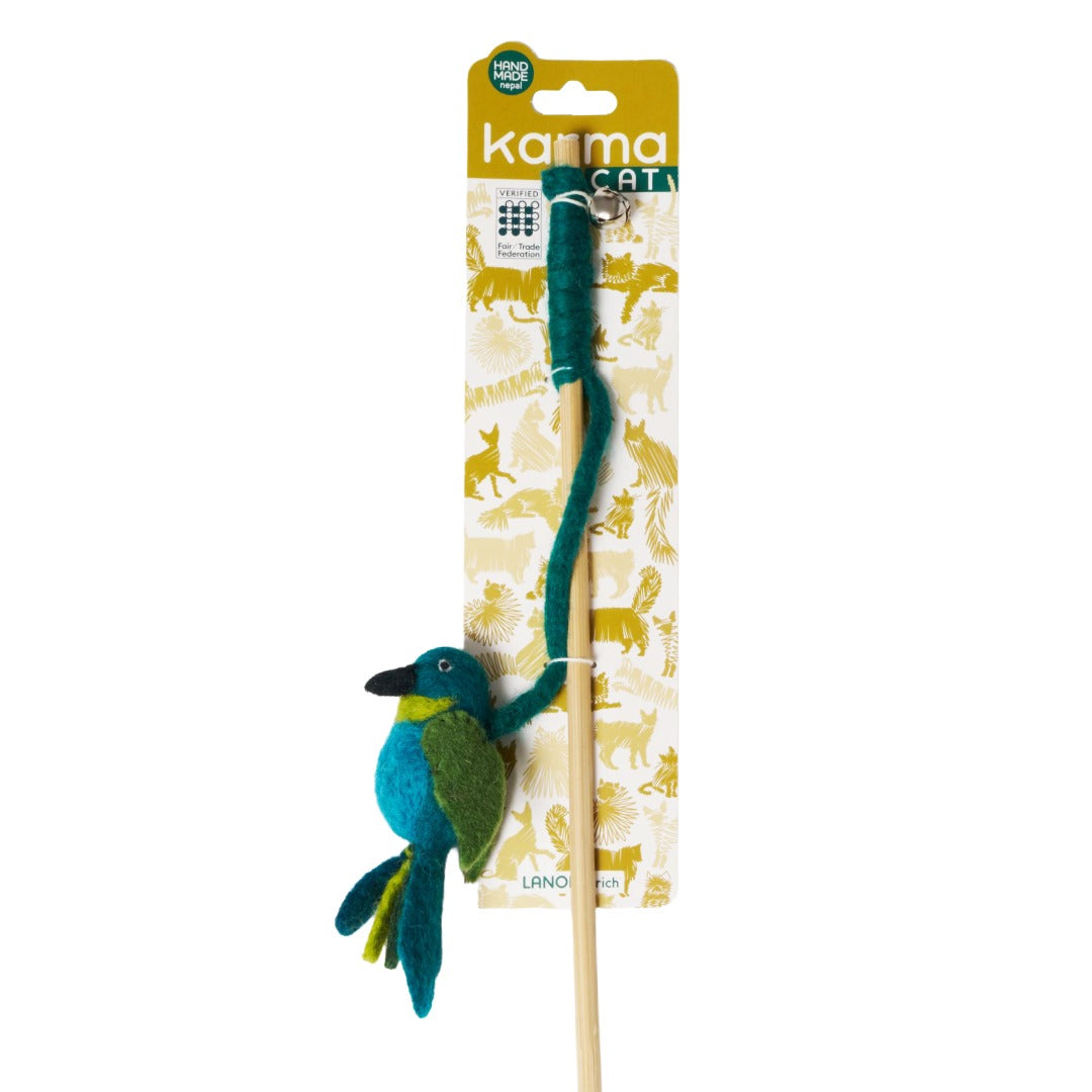 Hummingbird Teasers