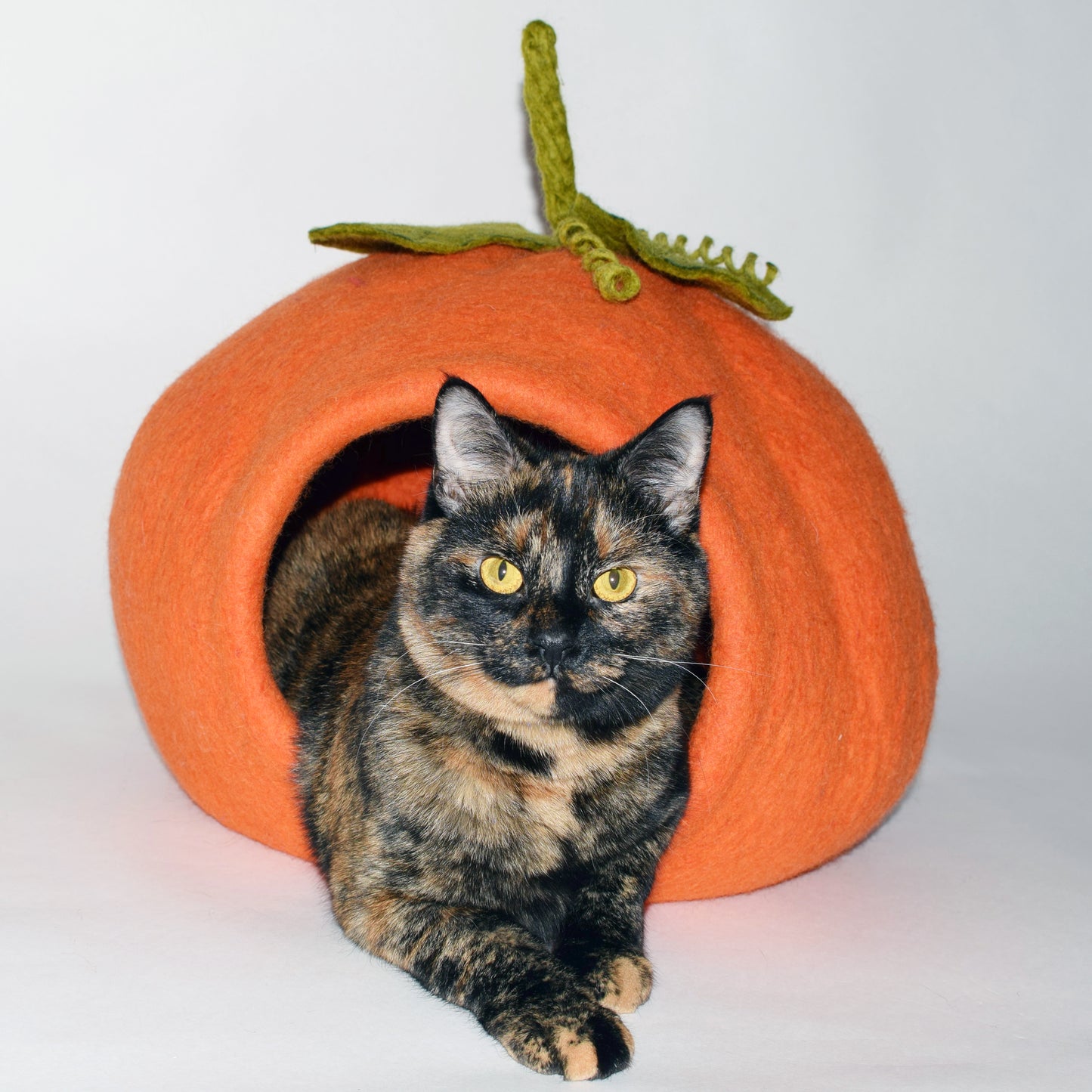Halloween Bundle
