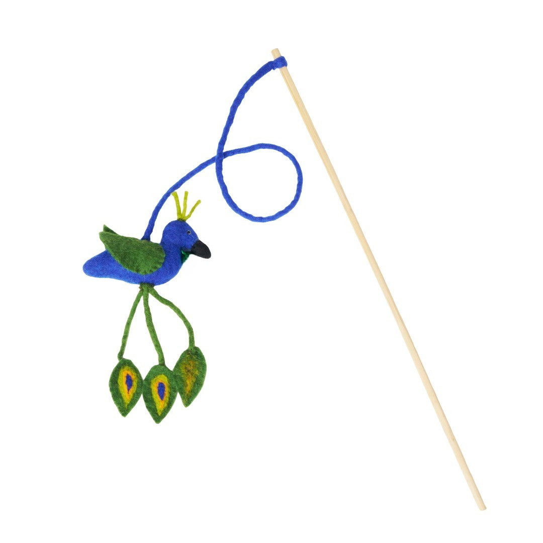 Peacock Teaser