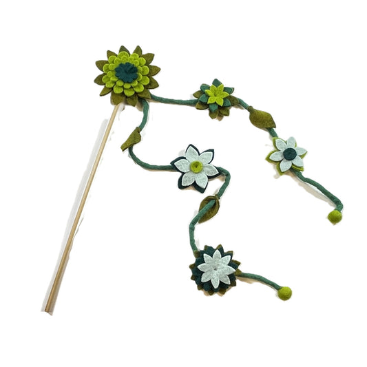 Teaser, Succulent Flower