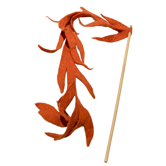 Teaser, Feathery Leaf