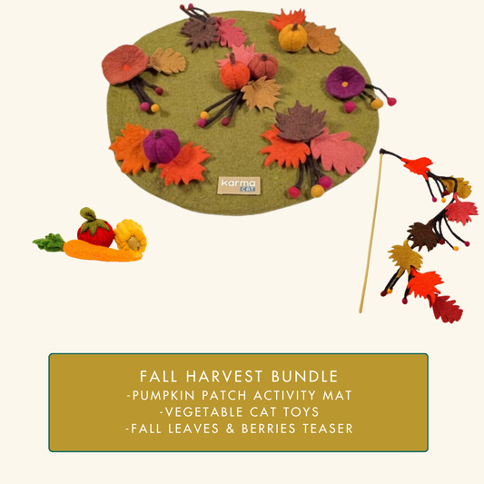 Fall Harvest Bundle