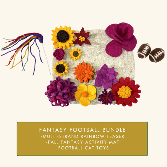 Fantasy Football Bundle