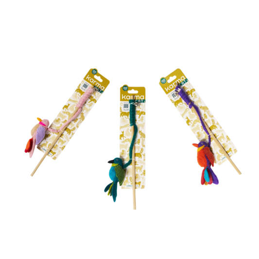 Hummingbird Teasers