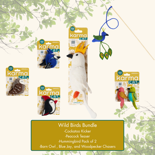 Wild Birds Bundle