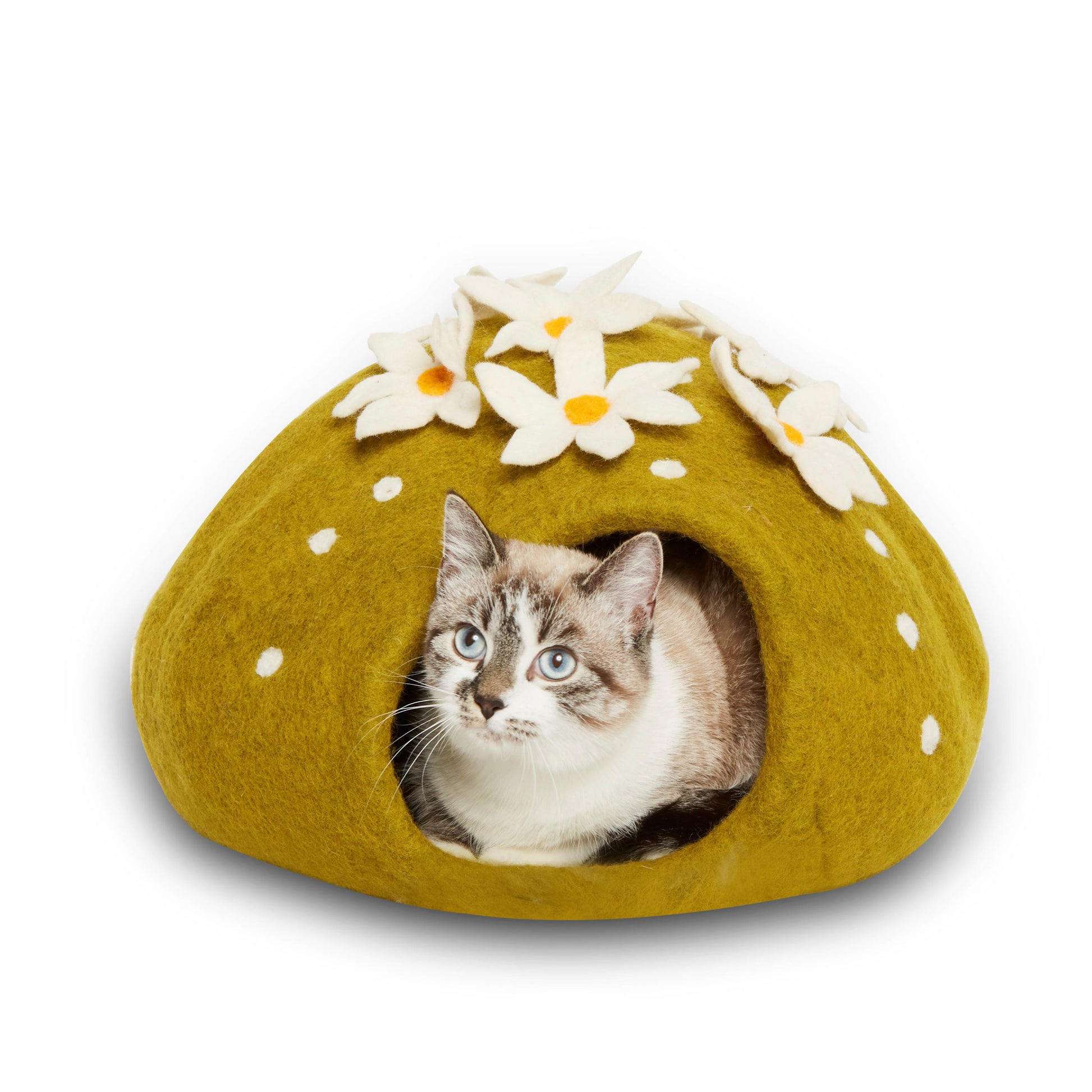 Strofinacci dis. cats - - Sito ufficiale Strofinacci dis. cats - - Sito ufficiale