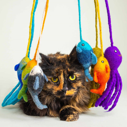 Fishing Toy for Cats -  New Zealand